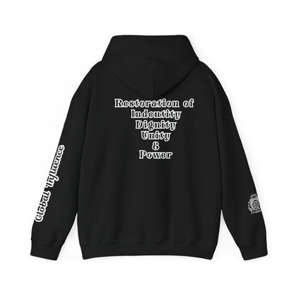 Black America Royalty Pullover Hoodie, Inspirational Streetwear Global Influence Graphic Hoodie, Unisex Hooded Sweatshirt